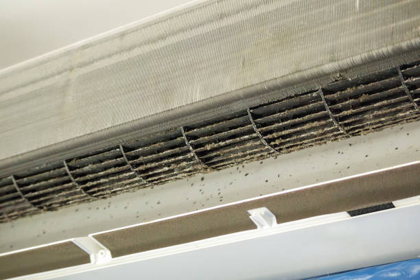 Best Duct Cleaning for Offices  in Grove, OK